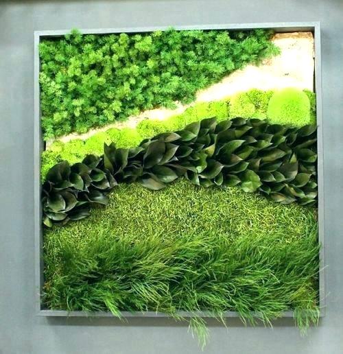 Diy Moss Wall いつまでも綺麗でいよう